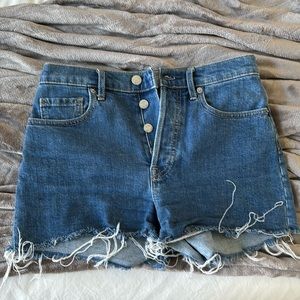 Everlane Cheeky Short shorts